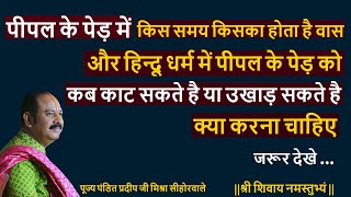 पीपल के पेड़ में किस समय किसका वास होता है और हिन्दू धर्म में पीपल के पेड़ को कब काट सकते है या उखाड़ते