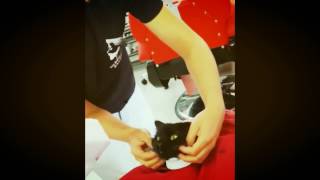 Barbershop Cat's Look Behind the Cat Look kpop GATO BARBERIA