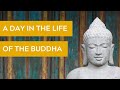 A Day in the Life of the Buddha