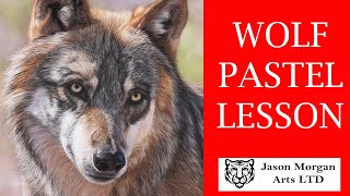 Wolf Pastel Lesson - Beginners  to Advanced - Jason morgan Arts - PanPastels