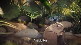 Sensibilisierungskampagne Antibiotika: Frosch und Fisch (short)