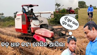 ବଡ ଧାନ କଟା ମେସିନ୍ ବିଲରେ ଗଳି ପଡୁଛି l Big Rice Harvesting machine l Gouranga Nayak Odia vlogs