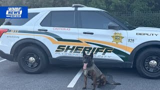 Nonprofit donates body armor to Florence County Sheriff’s Office K-9