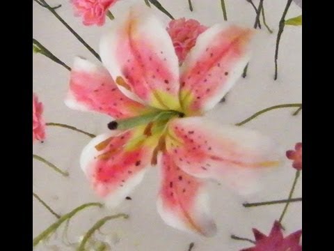 How to make a Gumpaste Stargazer Lily How to make a Gumpaste Stargazer Lily
