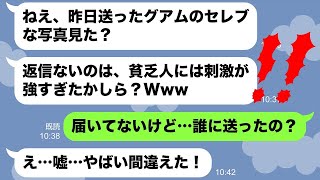 【LINE】貧乏人を見下して海外旅行自慢をしてくるママ友「写真送るからこれで楽しんでw」→まさかの誤送信で人生終了へww【総集編】