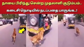 பிரிந்து சென்ற முதலாளி குடும்பத்தினரை துரத்தி சென்ற நாய் !