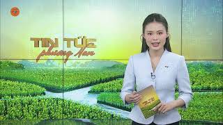 BÀ CON CẦN SỚM TRỮ NƯỚC NGỌT | VTV5