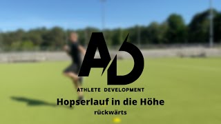 Hopserlauf in die Höhe rückwärts