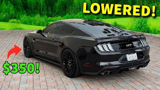 LOWERED My Mustang GT S550 for only $350!