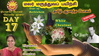 மலர் மருத்துவப் பயிற்சி(நாள்-17) / Flower Medicine Training (Day-17 / Vijayalaksmi amma, Consultant