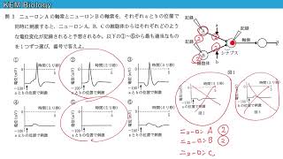 高校生物「広島大学2017大問3 神経の伝導・伝達、EPSP・IPSP」