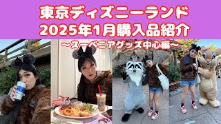 東京ディズニーランド　2025年1月購入品紹介〜スーベニアグッズ編