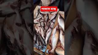 বাণিজ্যিকভাবে পাঙ্গাস মাছ চাষ #viralvideo #shorts #shortsvideo #shortsfeed #shortsviral