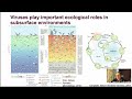 geology lecture series 20 21 how nutrients in costal sediments affect life