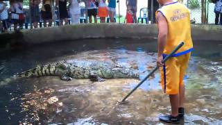 How to piss off a Croc.