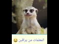 معلمات ذا راقبن في الامتحان😂🔞😱🙈