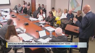 Horry County crime rates on record pace midway through year, police chief says