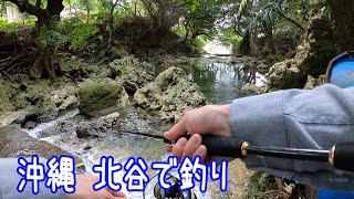 北谷の川を探索！【沖縄】