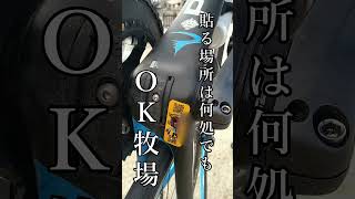 ロードバイクに防犯登録シール貼るの義務って知らないチャリカスが居るらしい🚴DQN自転車乗りダメ！絶対！ロードバイク初心者あるある🔰