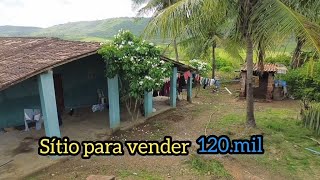 591 #sítio minigal para vender em pombos 120.mil