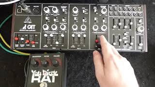 Behringer Cat \u0026 ProCo You Dirty Rat