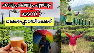 Malakkapara Drive Through Forest🌳🦌🌧Athirapilly➡️Vazhachal➡️Malakkapara| Best Forest Drive Kerala