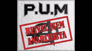 P.U.M. Che Guevara CD Bejval jsem anarchista