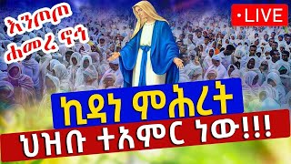 Live‼️ኪዳነ ምሕረት ልዩ ነሽ ለኔ‼️ኅዳር 16/2016 ቅዳሴ እና ምህላ‼️ከእንጦጦ ሐመረ ኖኅ ኪዳነ ምሕረት ገዳም‼️Eotc Nov 16/2023