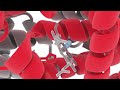 Hemoglobin deoxy — oxy animation for Monash University and Wiley