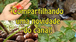 Compartilhando uma novidade do canal!