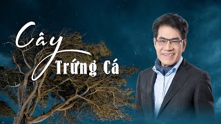 Truyện Ngắn hay nhất : Cây Trứng Cá - nhà văn Nguyễn Ngọc Ngạn | Thúy Nga Paris (Audiobook 21)