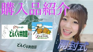 【ジブリ購入品紹介】開封式【どんぐり共和国】