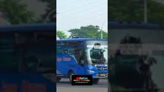 bumel Pantura yang jarang  ter ekspos#bus jaya utama #