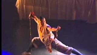 Master Chang Qiang Shaolin Nine-Jointed Whip