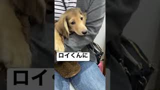 優しいお兄ちゃん