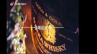 【典典吃喝教主】酒吧不只有酒！典典带你上海酒吧刷街！夜生活才刚刚开始