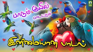 பாடும் குயில் பாடட்டும் | இனிமையான குரலில் அருமையான பாடல் | Padum Kuyil Padattum | Sweet Song Tamil