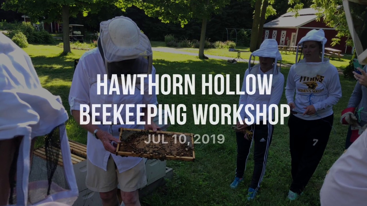 Beekeeping Workshop Part 1 2019 - YouTube