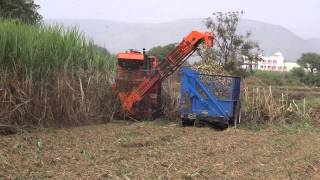 Shaktiman Sugarcane Harvester Video 3 - Shaktiman 3737