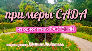 примеры САДА из однолетних РАСТЕНИЙ - остров цветов Mainau Bodensee 🌸🌸🌸 Blumeninsel Mainau