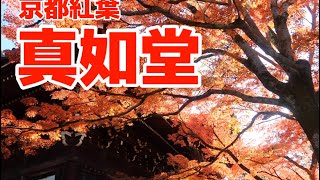 4K 京都紅葉　真如堂　スライドショー