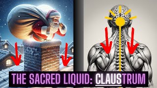 CLAUStrum: The Sacred Brain Part (100% Cell Regenerator)
