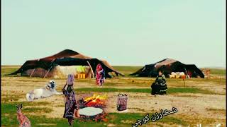 #pashtosong #kochai215#viral #پکتیکا #شایسته