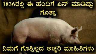 ನಿಮಗಾಗಿ ಕೆಲವೊಂದು ಅಚ್ಚರಿ ಹಾಗೂ ಆಸಕ್ತಿಕರ ವಿಷಯಗಳು | Interesting Facts In Kannada