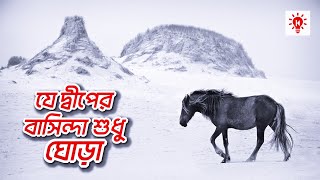 যে দ্বীপের বাসিন্দা শুধু ঘোড়া !