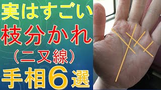 【手相占い】すごい二又線（枝分かれ線）６選！太陽線・財運線・運命線・感情線・知能線・生命線別に解説