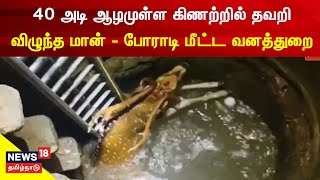 Deer | 40 அடி ஆழமுள்ள கிணற்றில் தவறி விழுந்த மான் - போராடி மீட்ட வனத்துறை | Ranipet News