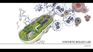 Labster Virtual Lab: Synthetic Biology Simulation