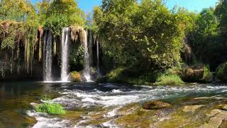 Majestic Jungle Waterfall 🌿 | Relaxing Nature Sounds for Sleep, Meditation \u0026 Focus