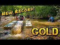 Gold Dredge Finding a Pile of Amazing Gold